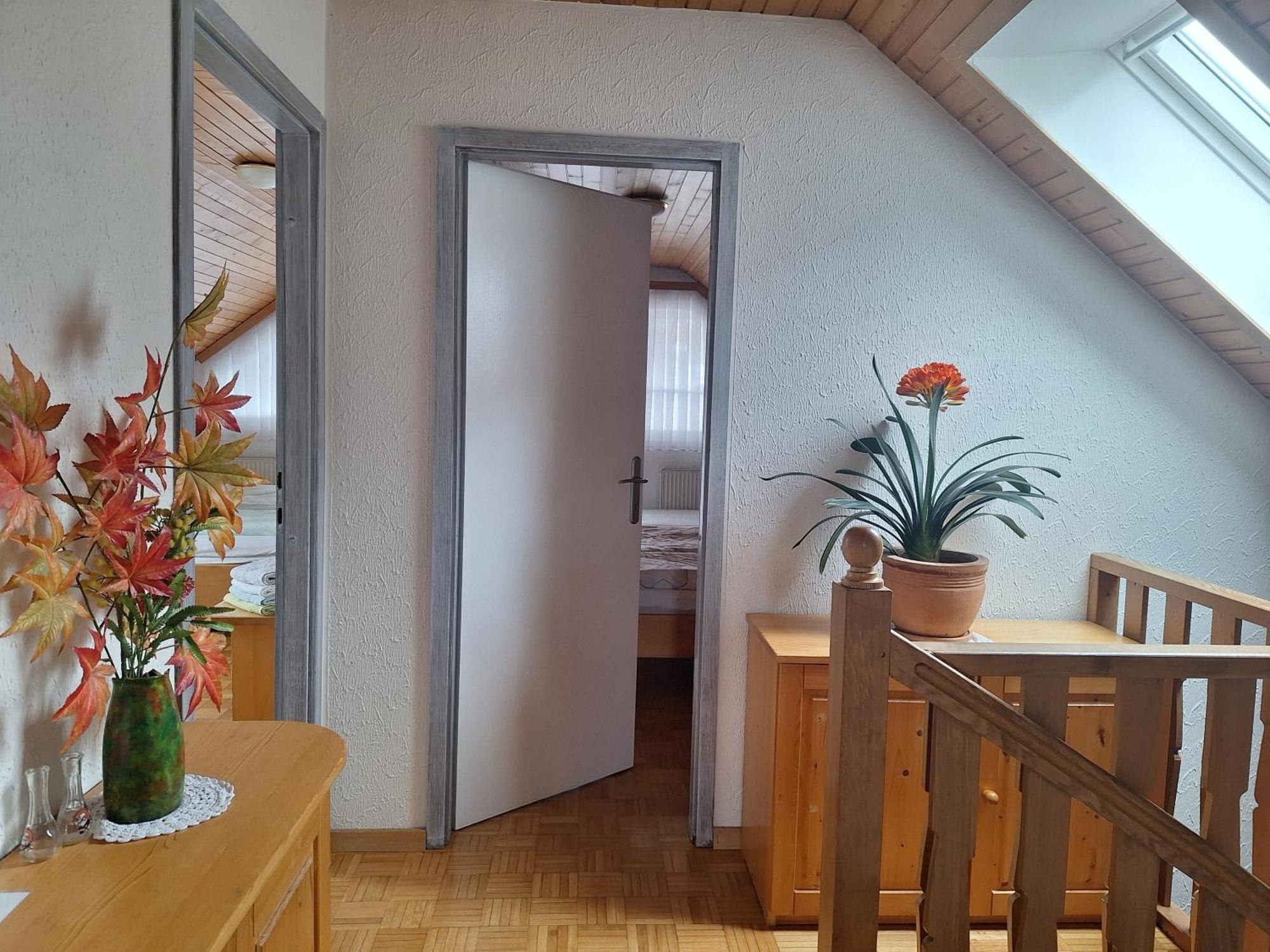 Apartmaji Marinka Hodnik Bohinj Εξωτερικό φωτογραφία