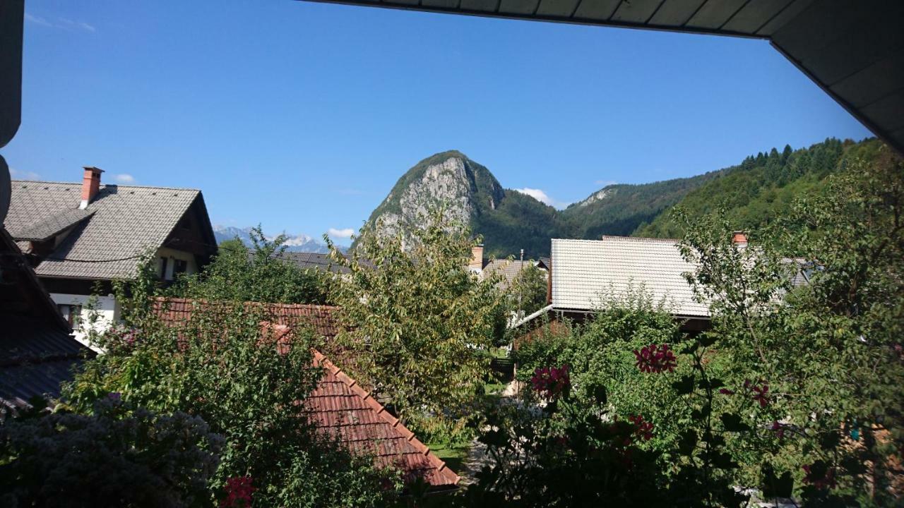 Apartmaji Marinka Hodnik Bohinj Εξωτερικό φωτογραφία